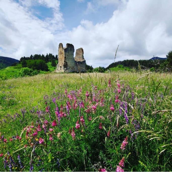 Gite L'Enclos O Rendez-Vous Roquefeuil-Pays De Sault- Avec Jardin Buitenkant foto