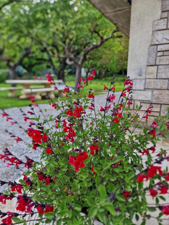 Gite L'Enclos O Rendez-Vous Roquefeuil-Pays De Sault- Avec Jardin Buitenkant foto