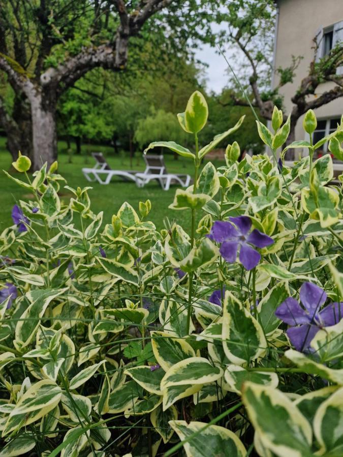 Gite L'Enclos O Rendez-Vous Roquefeuil-Pays De Sault- Avec Jardin Buitenkant foto